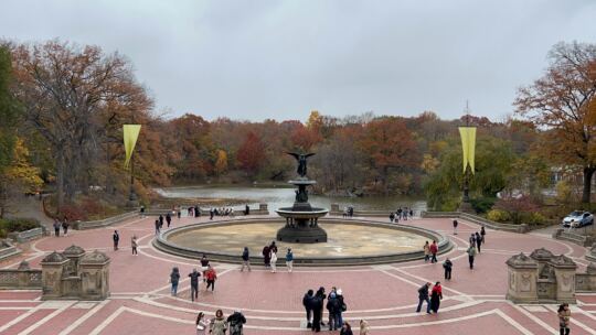 Central Park en Automne