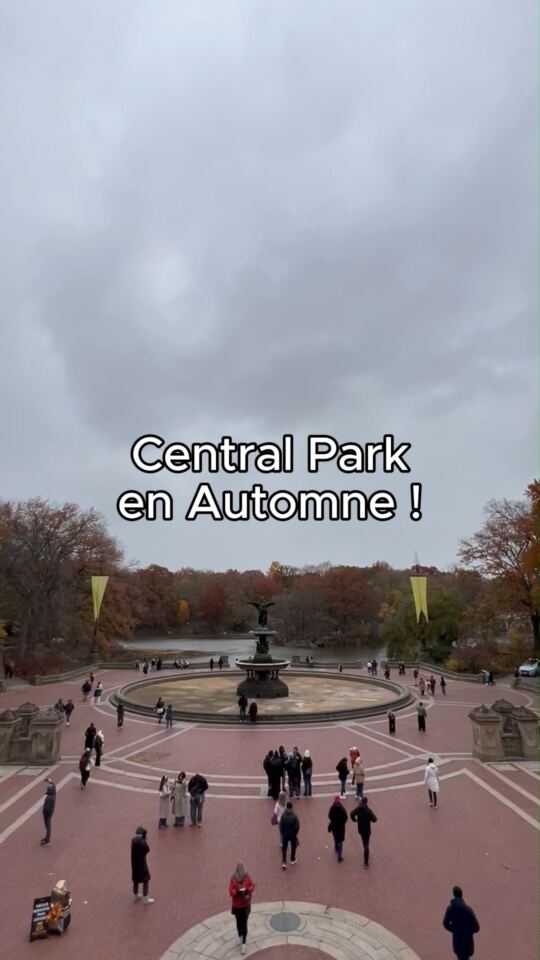 Central Park en Automne (New York)