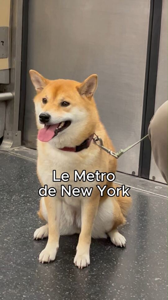 Metro de New York