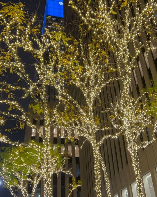 New York à Noël