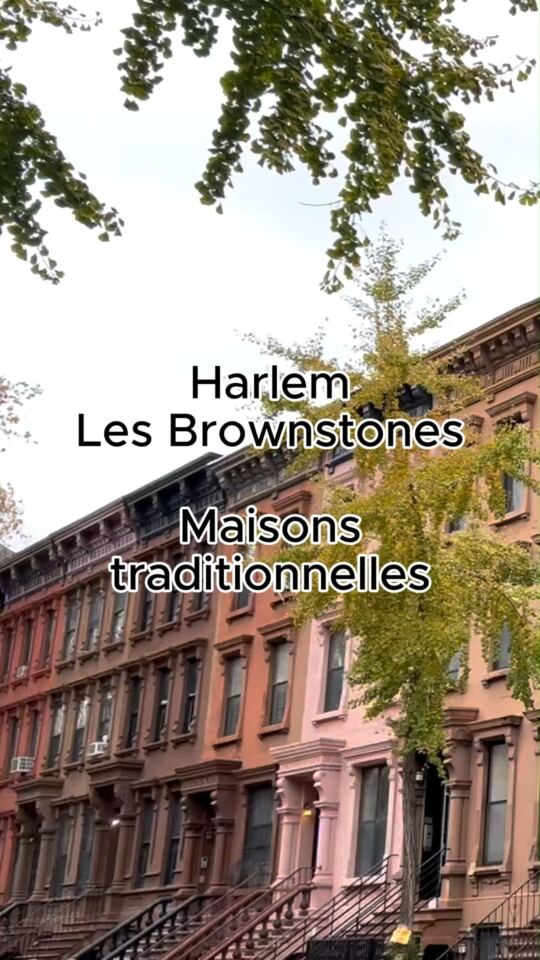 Harlem (New York)