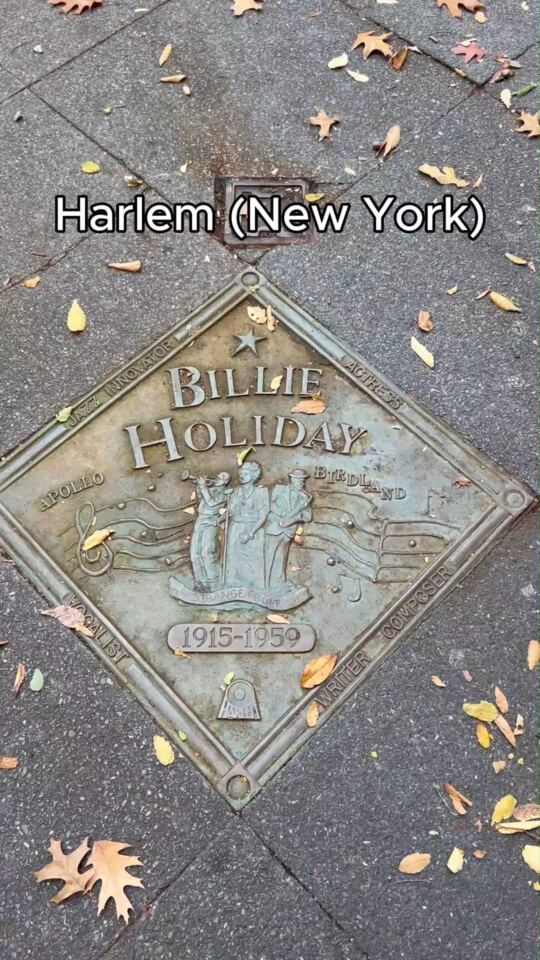 Harlem (New York)