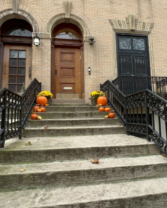 Harlem (New York)