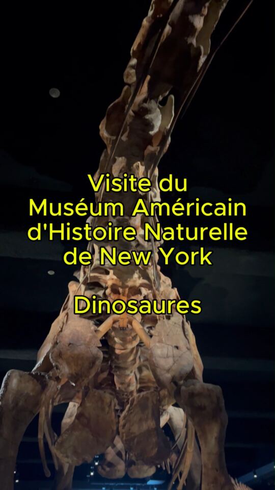 Muséum Américain d'Histoire Naturelle