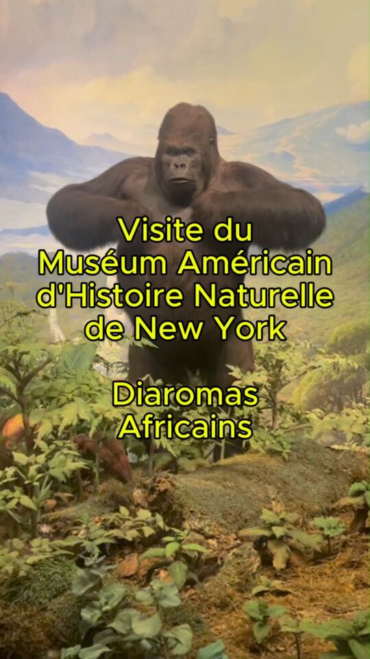 Muséum Américain d'Histoire Naturelle