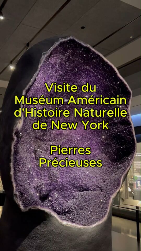 Muséum Américain d'Histoire Naturelle
