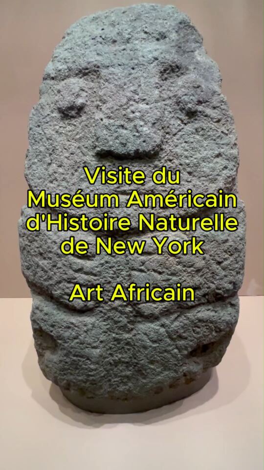 Muséum Américain d'Histoire Naturelle