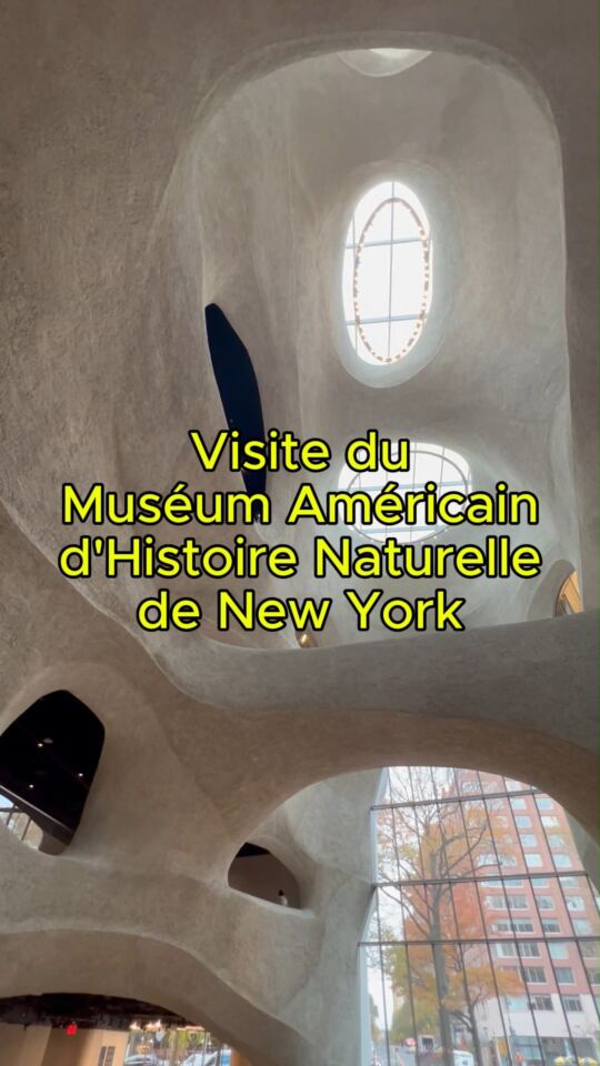Muséum Américain d'Histoire Naturelle