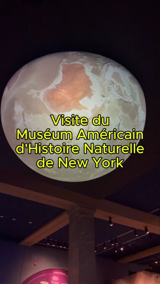 Muséum Américain d'Histoire Naturelle