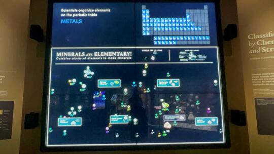 Muséum Américain d'Histoire Naturelle