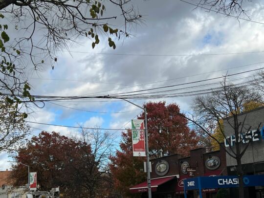Bronx (New York)
