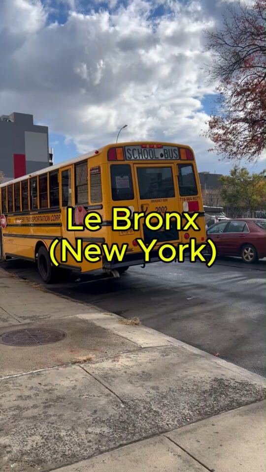 Bronx (New York)