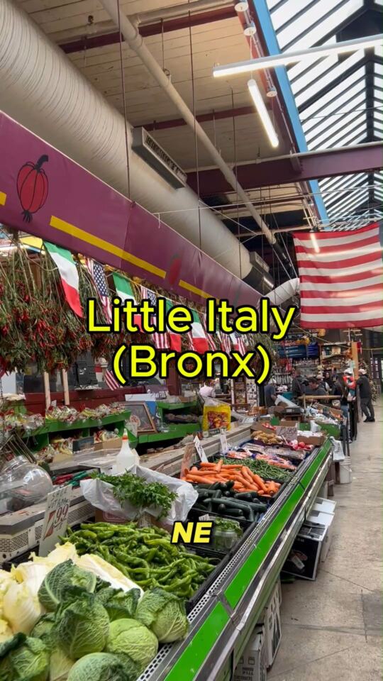Bronx (New York)