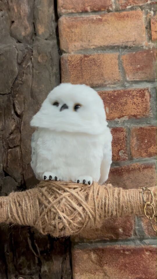 Harry Potter (New York)