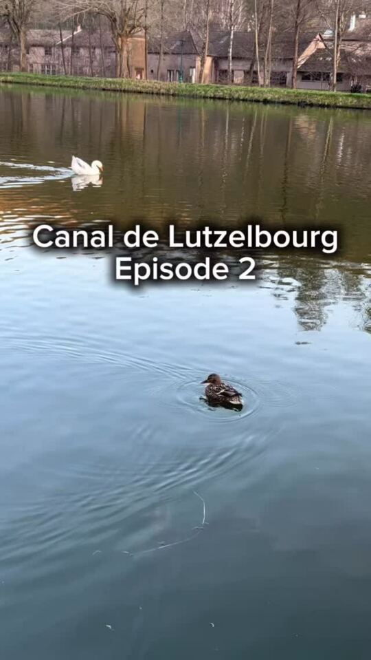 Le Canal de Lutzelbourg