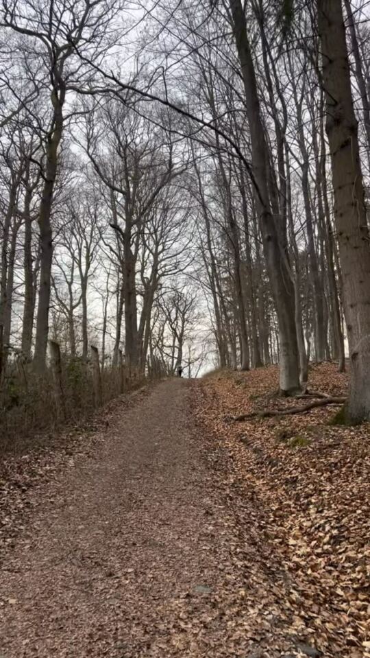 Karlsbrunn, Saarland, Germany