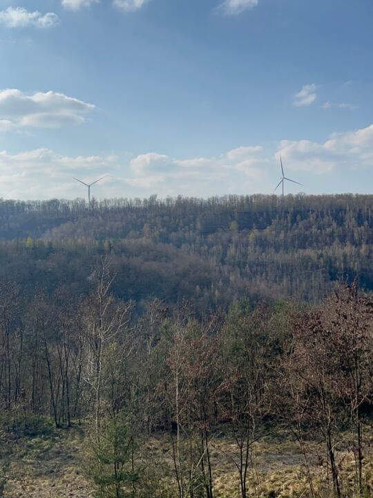 Carrière Puits Simon, Etang EmpireZone à Schoeneck