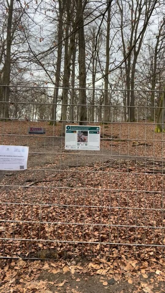Karlsbrunn : La plateforme d'observation du parc mais cette fois on voit rien du tout