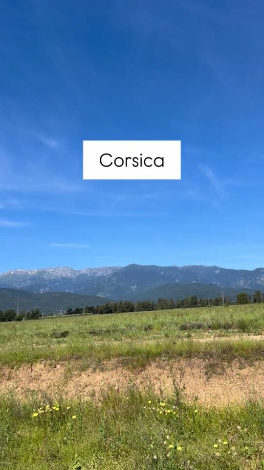 Corsica