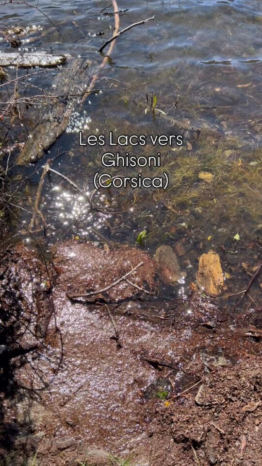 Les Lacs vers Ghisoni (Corsica).