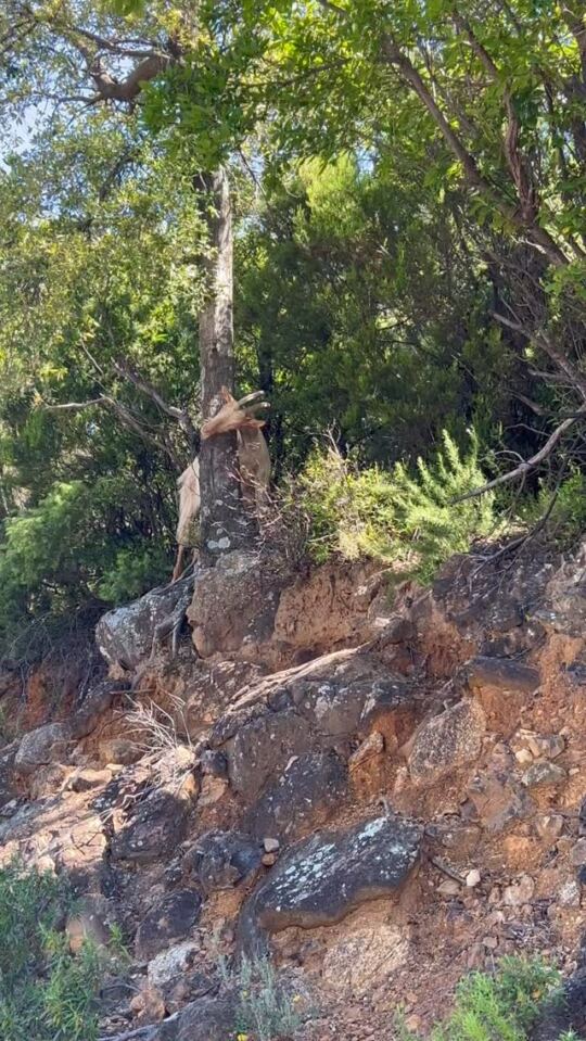 Balade dans les Montagnes en Corse.