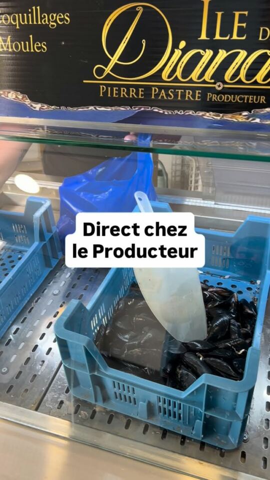 Direct chez le Producteur d'Huîtres et Moules en Corsica, Pierre Pastre Producteur Ile de Diana !