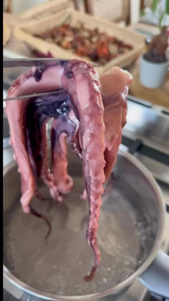 On prépare les tentacules de poulpes pour ce soir