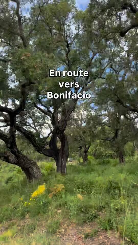 En route vers Bonifacio 🔥