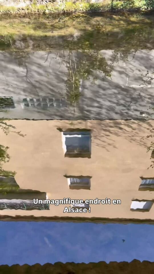 Un magnifique endroit en Alsace, la Zorn.