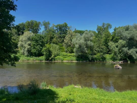 Charmes (Vosges)