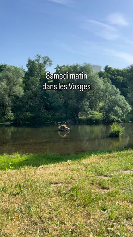Samedi matin dans les Vosges.