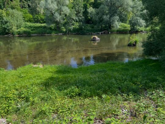 Rivière La Moselle (Camping L'Île aux 1000 charmes).