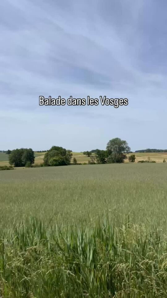 Balade dans les Vosges