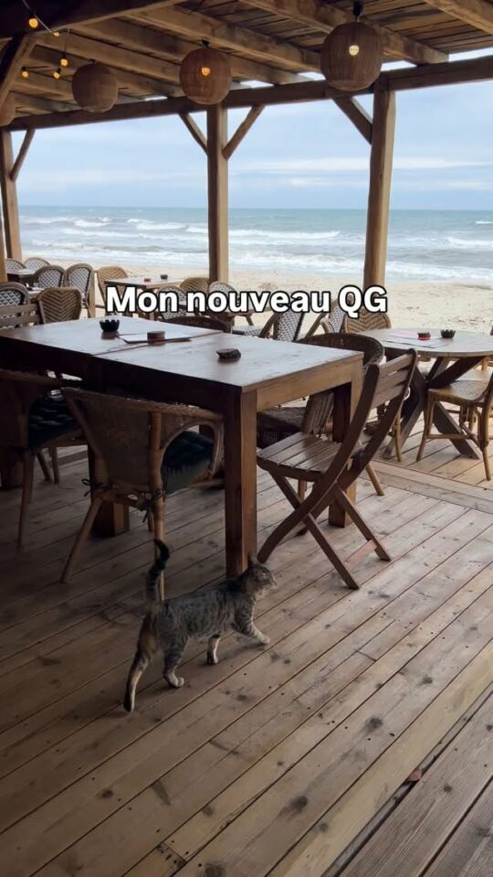 Mon nouveau QG à Ghisonaccia en Corsica : Ghiso Beach Food & Friends.