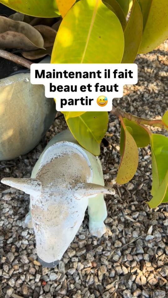 ☀️ Maintenant il fait beau et faut partir 😅