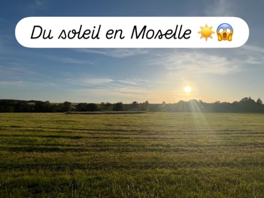 21 Mai 2026 : Enfin du soleil ☀️ en Moselle 😱 !