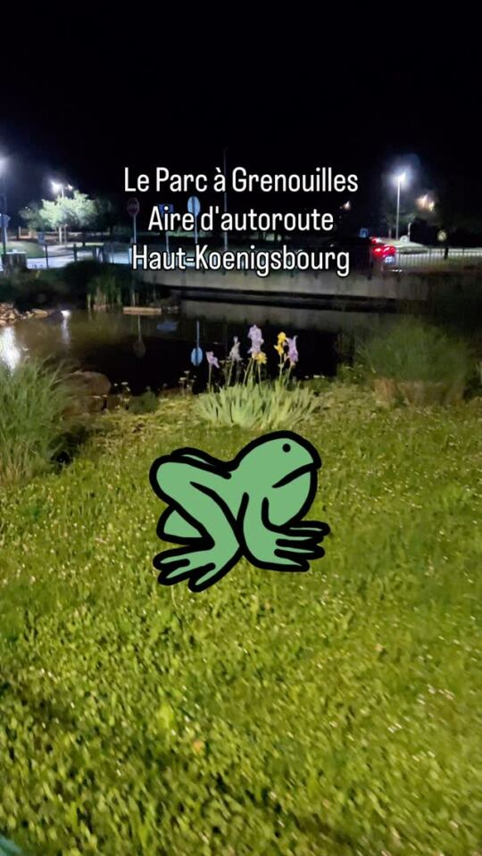 Le Parc à Grenouilles (Aire d'autoroute, Haut-Koenigsbourg)