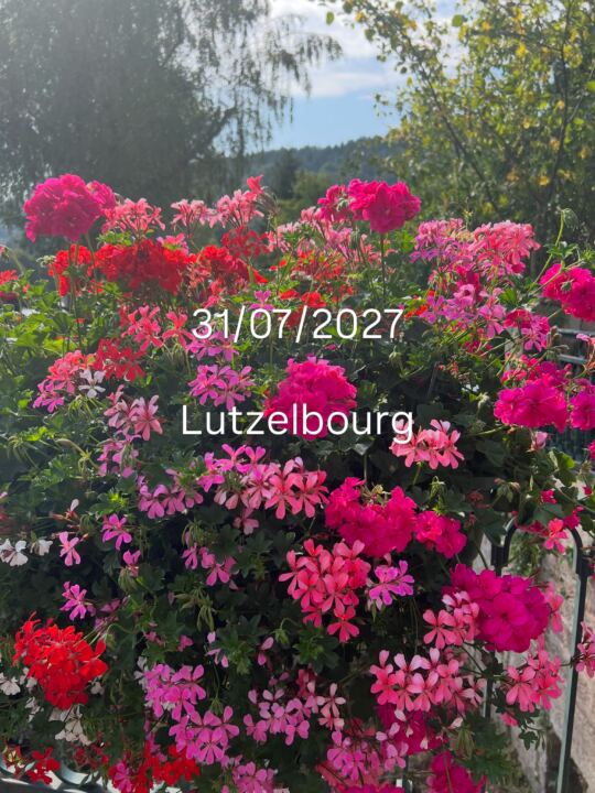 Canal de Lutzelbourg