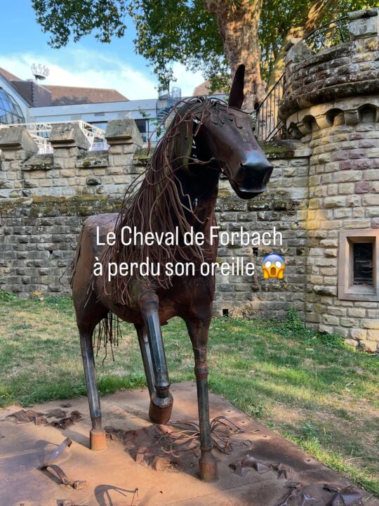 Le Cheval de Forbach à perdu son oreille 😱