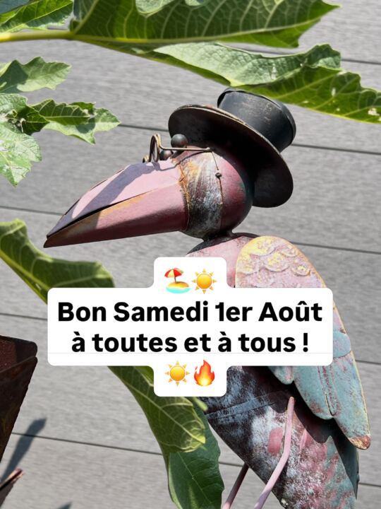 Bon Samedi 1er Août à toutes et à tous !