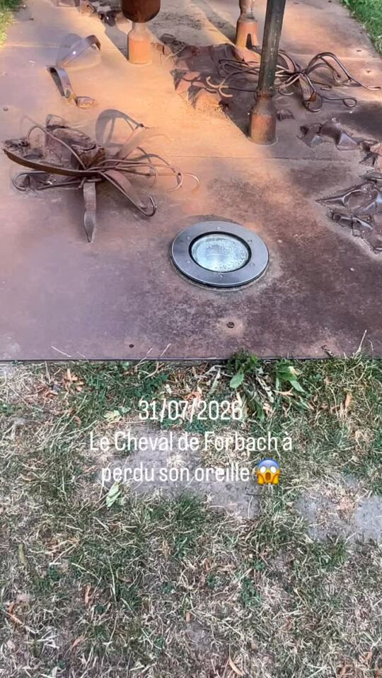 Le Cheval de Forbach à perdu son oreille 😱