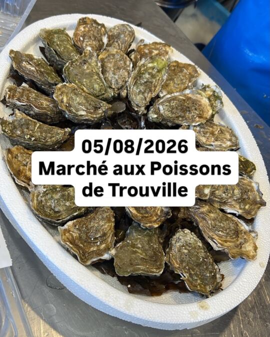 Marché aux Poissons de Trouville sur Mer.