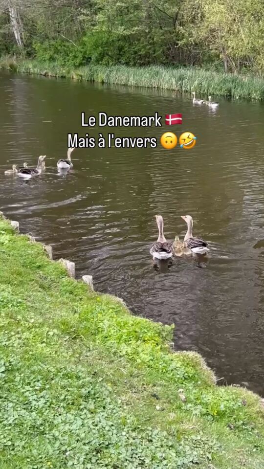 Le Danemark 🇩🇰.