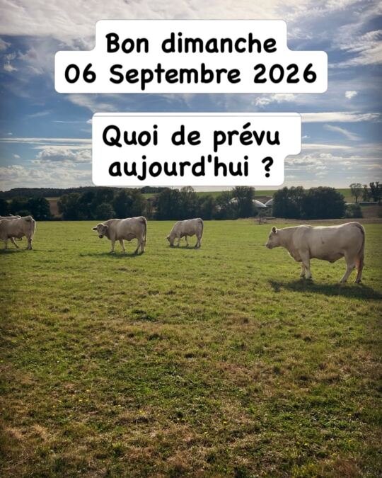 Bon dimanche 06 Septembre 2026.