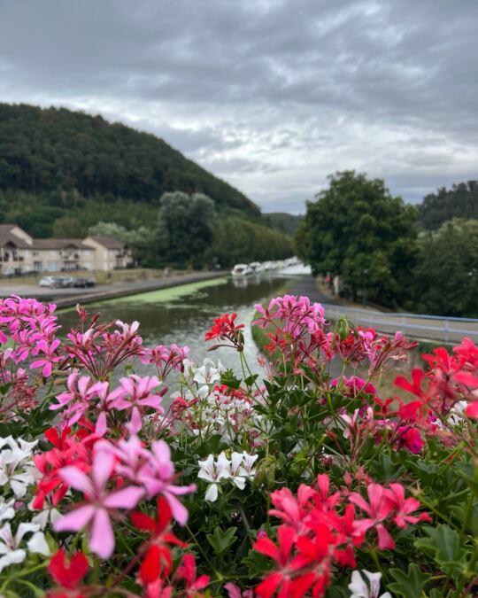 Vue du canal Lutzelbourg depuis le Pont.
