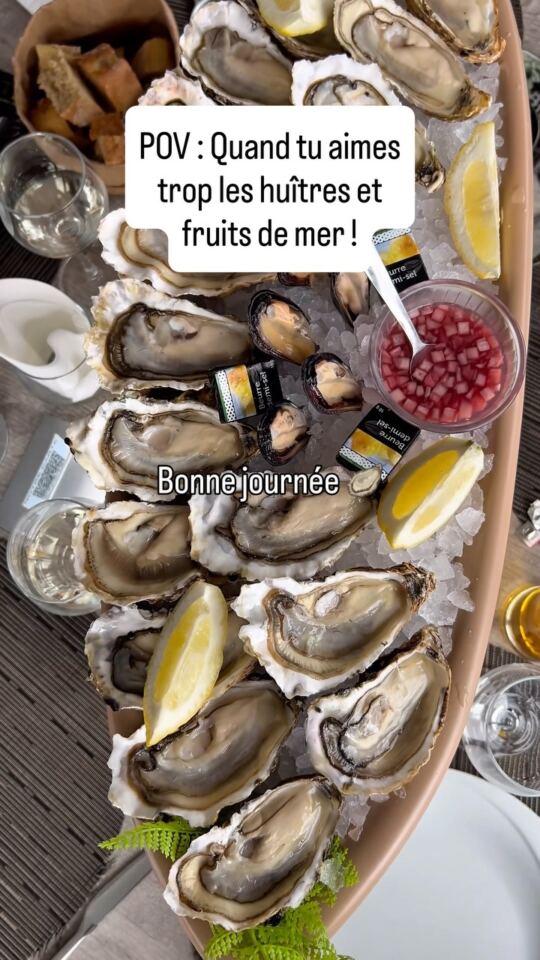 POV : Quand tu aimes beaucoup trop les huîtres 🦪, moules et fruits de mer et que tu en manges tous les jours que ça soit l…