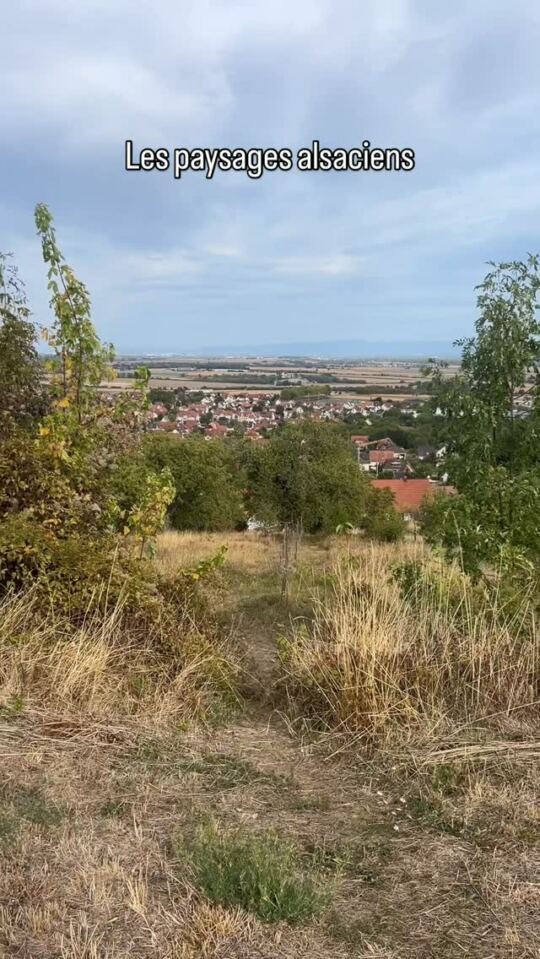 Les paysages alsaciens 20/09/2026.