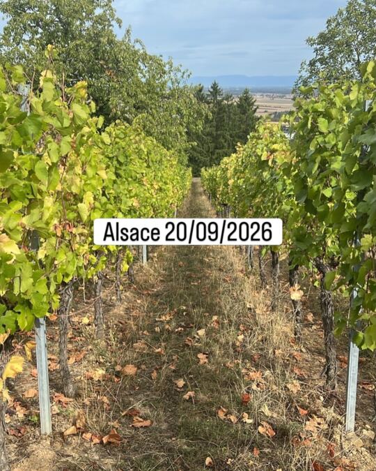 Alsace 20/09/2026