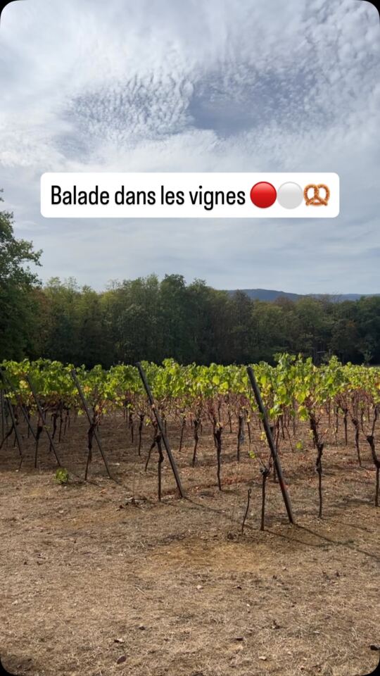Balade dans les vignes alsaciennes.