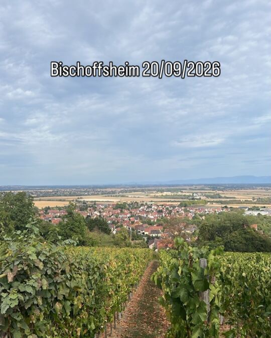 Vue sur l'Alsace, depuis Bischoffsheim 20/09/2026